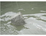 泡沫混凝土試塊